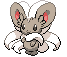 Cinccino