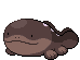 Clodsire