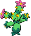 Maractus