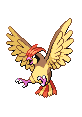 Pidgeotto