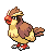 Pidgey