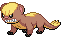 Yungoos